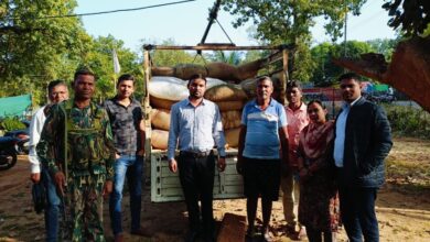 अवैध रूप से 32 बोरी धान का परिवहन करते हुए पिकअप को पकड़ा गया…