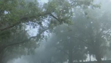 दिल्ली यूपी से लेकर बिहार तक पड़ेगी कड़ाके की ठंड, जानें देश के मौसम का हाल……..