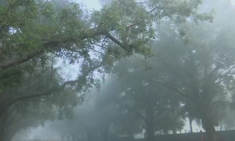 दिल्ली यूपी से लेकर बिहार तक पड़ेगी कड़ाके की ठंड, जानें देश के मौसम का हाल……..