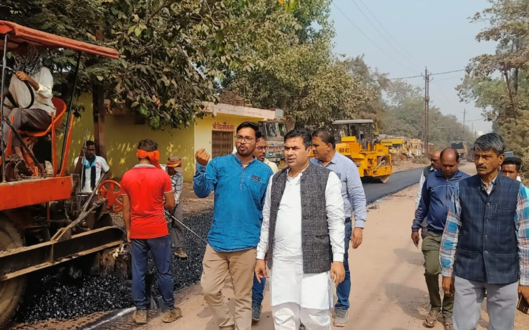 महापौर ने अफसरों के साथ मिलकर किया सड़क डामरीकरण निर्माण कार्य का निरीक्षण…