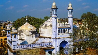 Gyanvapi masjid case : हिंदू पक्ष के वकील का बड़ा दावा,ज्ञानवापी में मिले मंदिर होने के 34 शिलालेख