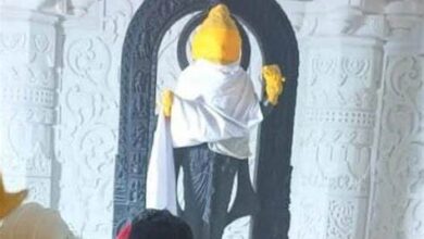 मंदिर के गर्भगृह में विराजे भगवान रामलला, पहली तस्वीर आई सामने…..
