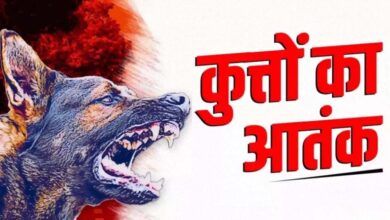 कुत्तों के आतंक से वार्डवासी हुए परेशान, शिकायत के बाद भी नहीं हुई कार्रवाई…