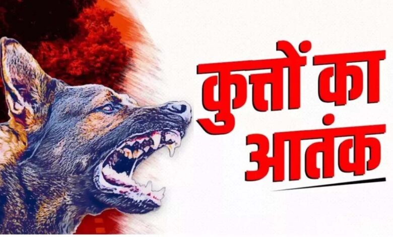 कुत्तों के आतंक से वार्डवासी हुए परेशान, शिकायत के बाद भी नहीं हुई कार्रवाई…