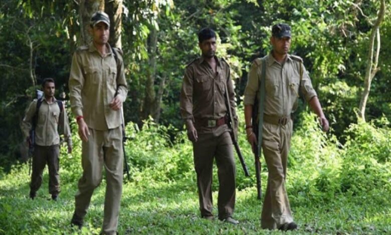 छत्तीसगढ़ : वनरक्षक के रिक्त पदों पर सीधी भर्ती,जल्द करें आवेदन