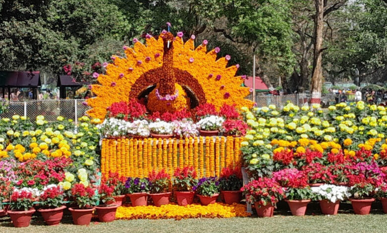 फ्लावर शो देखने उमडे हजारों लोग फ्लावर शो देखने उमडे हजारों लोग