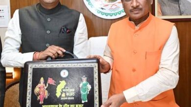 10 स्तंभ पर आधारित रणनीति से होगा छत्तीसगढ़ का विकास 10 स्तंभ पर आधारित रणनीति से होगा छत्तीसगढ़ का विकास