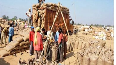 रिकॉर्ड धान खरीदी: 144.92 लाख मीटरिक टन धान खरीदी