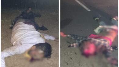 सड़क हादसा: तेज रफ्तार वाहन ने बाइक को मारी टक्कर, बाइक सवार जीजा-साले की मौत