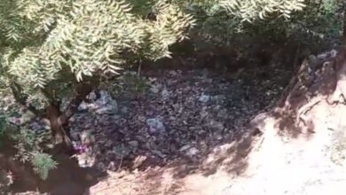 खदान में गिरी ढाई साल की मासूम बच्ची की मौत, बच्ची को बचाने मां ने लगाई छलांग…