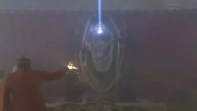 सूर्यतिलक और घंटों की ध्वनि के बीच रामलला जन्म