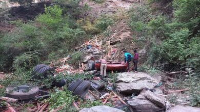 रानीखेत में सड़क हादसा, गहरी खाई में गिरा ट्रक, एक की मौत