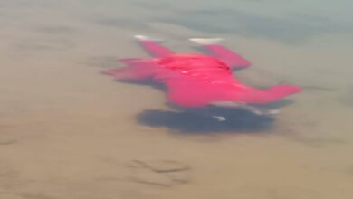 सतरेंगा के डुबान क्षेत्र में मिली युवती की लाश