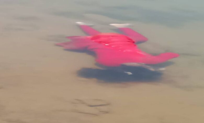 सतरेंगा के डुबान क्षेत्र में मिली युवती की लाश सतरेंगा के डुबान क्षेत्र में मिली युवती की लाश