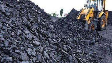 वित्त वर्ष 2024 में खनन क्षेत्र में रिकॉर्ड उत्पादन