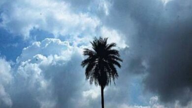 छत्तीसगढ़ में नमी हवाएं, अंधड़ चलने की संभावना