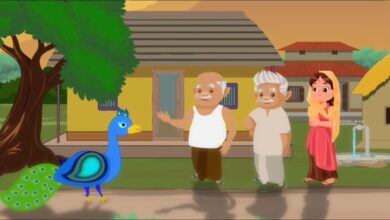 जल-जगार नवागांव, कुरूद, नवागांव थुहा