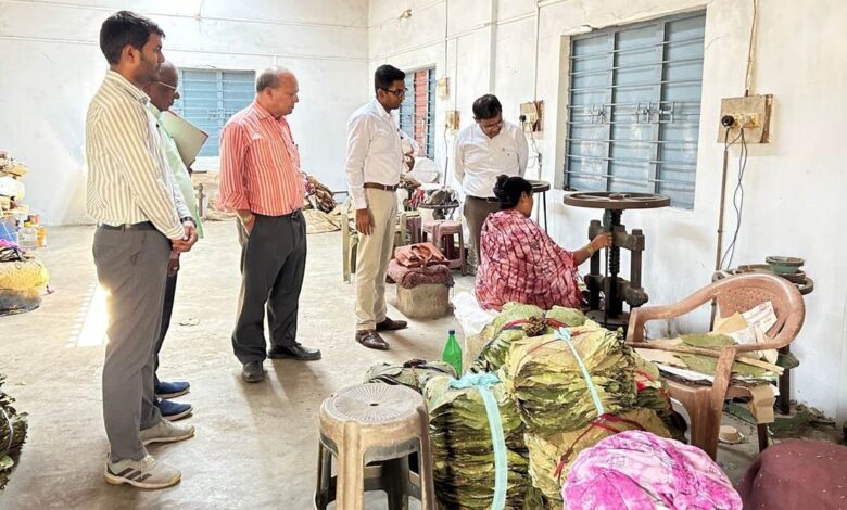 माहुल पत्ता प्रसंस्करण से महिलाएं हो रहीं आत्मनिर्भर