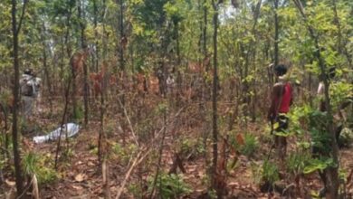 भालू के हमले से फारेस्ट गार्ड की मां की मौत