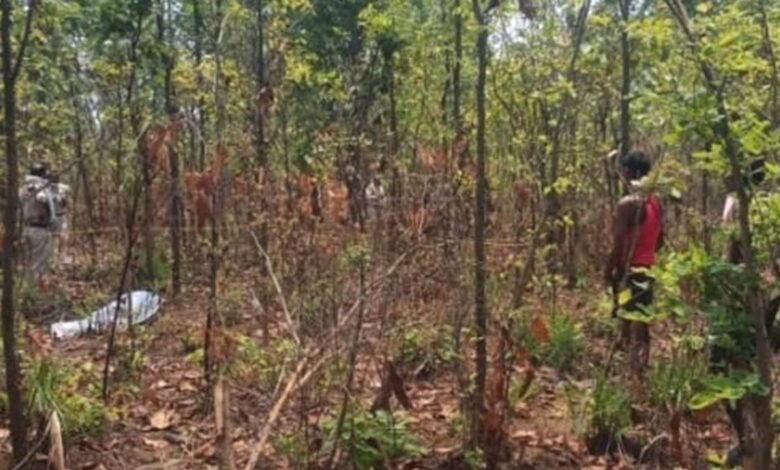 भालू के हमले से फारेस्ट गार्ड की मां की मौत