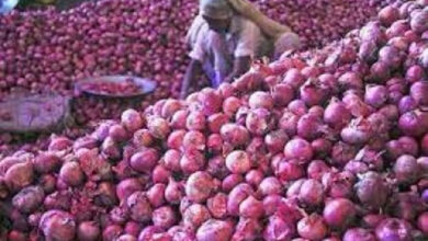 केंद्र ने प्याज के निर्यात पर से प्रतिबंध हटाया