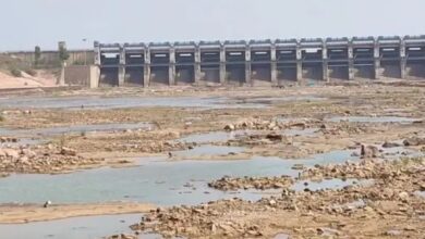 भीषण गर्मी की वजह से गंगरेल बांध में गिरा जलस्तर