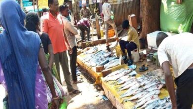 मांस-मछली के अवैध विक्रय पर स्थानीय निकायों में कार्रवाई जारी