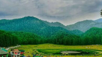 गर्मी की छुट्टियों में निशुल्क समर कैंप का आयोजन