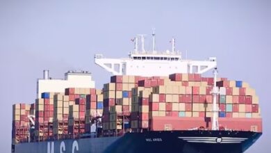 ईरान ने जहाज के चालक चल को छोड़ा, सभी 16 भारतीय रिहा