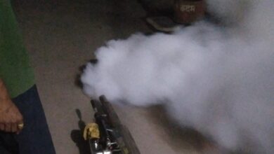 निचली बस्तियों, झुग्गी बस्तियों में फागिंग