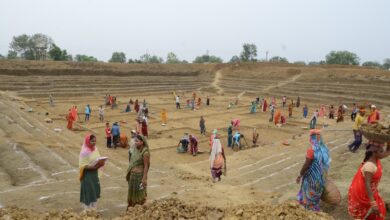 मनरेगा: मानव दिवस सृजन में प्रदेश में रायपुर जिला ने हासिल किया द्वितीय स्थान