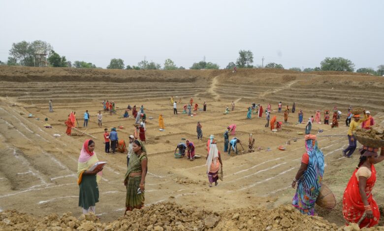 मनरेगा: मानव दिवस सृजन में प्रदेश में रायपुर जिला ने हासिल किया द्वितीय स्थान