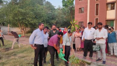 कलेक्टर ने लगाया नव गुरुकुल में हरि शंकरी का पौधा