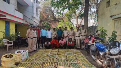 आबकारी विभाग द्वारा की गई कार्यवाही, 597 आरोपी गिरफ्तार