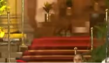 मोदी ले रहे थे शपथ, तभी पीछे टहलता दिखा तेंदुआ !