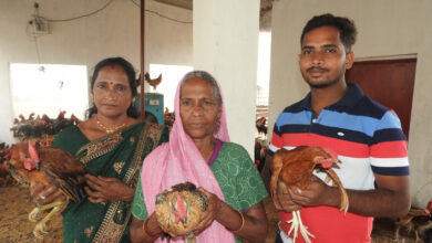 श्याम बाई ने मुर्गी पालन को बनाया अपना स्व-रोजगार श्याम बाई ने मुर्गी पालन को बनाया अपना स्व-रोजगार