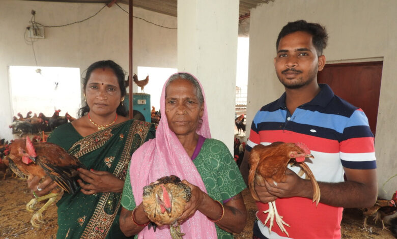 श्याम बाई ने मुर्गी पालन को बनाया अपना स्व-रोजगार