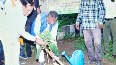 मुख्यमंत्री ने सर्किट हॉउस कसडोल में लगाया बरगद का पौधा
