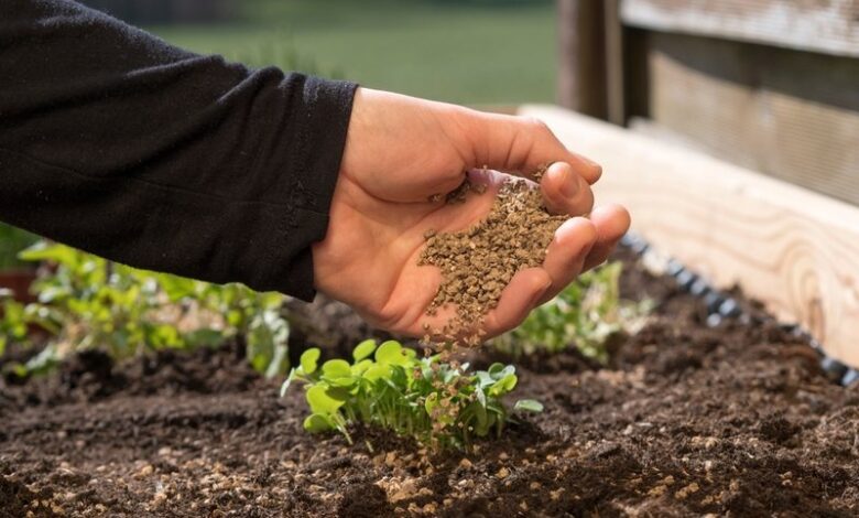 अमानक नमूने वाले खाद-बीज के लॉट के विक्रय पर प्रतिबंध