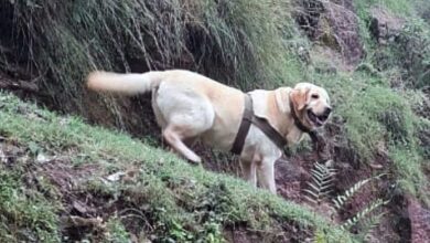 शहीद ‘केंट’ ने दिखाई थी अदम्य बहादुरी, मिला वीरता पुरस्कार