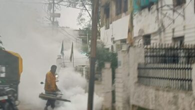 वार्डो में एंटी लार्वा ट्रीटमेंट और फाॅगिंग अभियान जारी