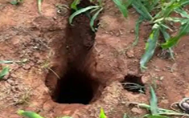 खुले बोरवेल में दुर्घटना होने पर होगी एफआईआर