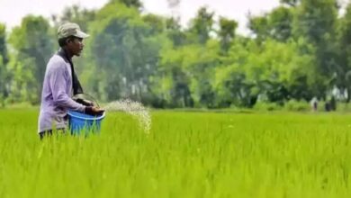 सरकार पी एण्ड के उर्वरक में देश को आत्मनिर्भर बनाने को प्रतिबद्ध