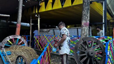 हरेली तिहार मनाने सज गया मुख्यमंत्री निवास, रहचुली झूला, गेड़ी और साजसज्जा वाली बैलगाड़ियों से दिख रही रौनक हरेली तिहार मनाने सज गया मुख्यमंत्री निवास, रहचुली झूला, गेड़ी और साजसज्जा वाली बैलगाड़ियों से दिख रही रौनक