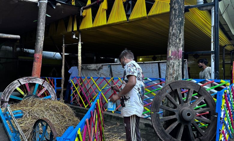 हरेली तिहार मनाने सज गया मुख्यमंत्री निवास, रहचुली झूला, गेड़ी और साजसज्जा वाली बैलगाड़ियों से दिख रही रौनक