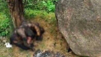 मध्यप्रदेश में युवक और युवती के अधजले लाश मिले, पुलिस कर रही छानबीन