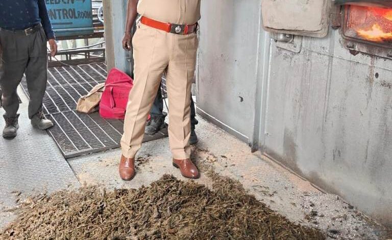 रायपुर रेंज में आग के हवाले हुआ सैकड़ों क्विंटल गांजा, पुलिस ने किया नष्ट