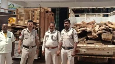 अवैध सागौन और साल की लकड़ी की तस्करी, किये गए जब्त