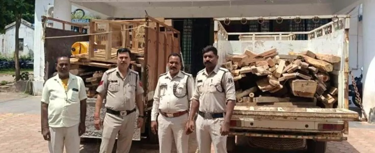 अवैध सागौन और साल की लकड़ी की तस्करी, किये गए जब्त