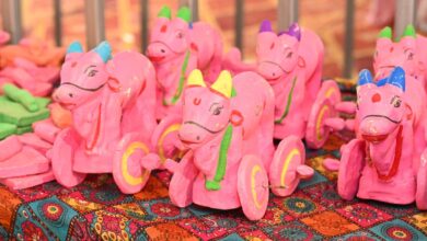 विष्णु भैया का सजा घर तीजा-पोरा पर